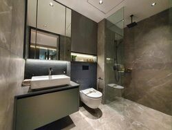 Irwell Hill Residences (D9), Apartment #576266551